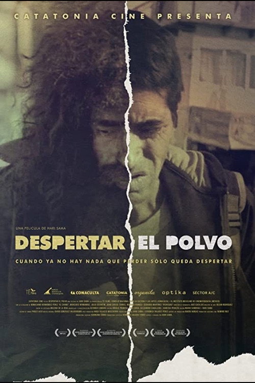 Despertar el Polvo LAT