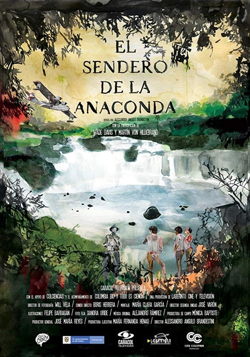 The Path of the Anaconda Dual